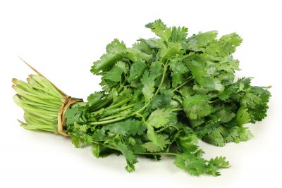 preserve fresh cilantro