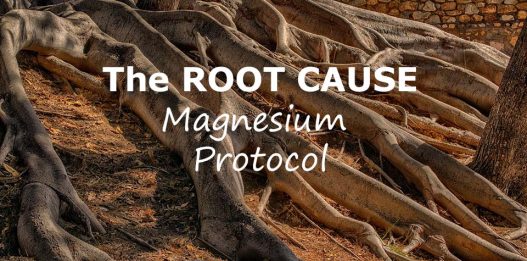 The Root Cause Protocol by Morley Robbins (Magnesium Protocol)