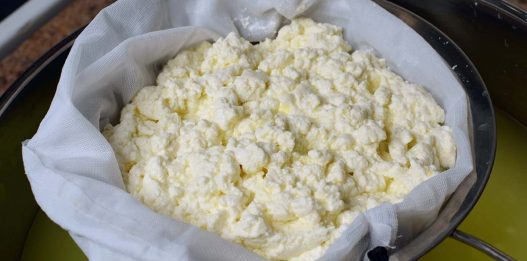 How to Make SOFT COTTAGE CHEESE at Home (No lemon, No Vinegar)