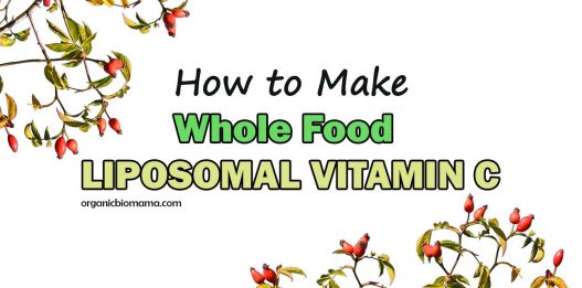 How to Make WHOLE FOOD LIPOSOMAL VITAMIN C with Rosehip Powder
